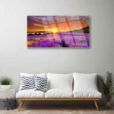 Plexiglas schilderij Sunset gebied van de lavendel