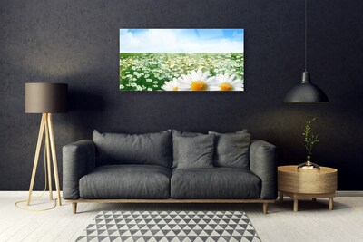 Plexiglas schilderij Daisy meadow flowers field