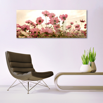 Plexiglas schilderij Bloemen wilde weide natuur