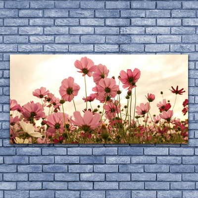 Plexiglas schilderij Bloemen wilde weide natuur