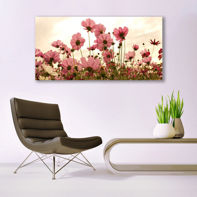 Plexiglas schilderij Bloemen wilde weide natuur