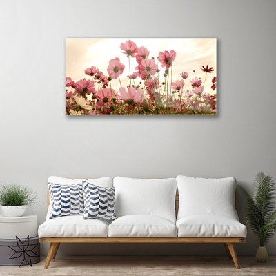 Plexiglas schilderij Bloemen wilde weide natuur