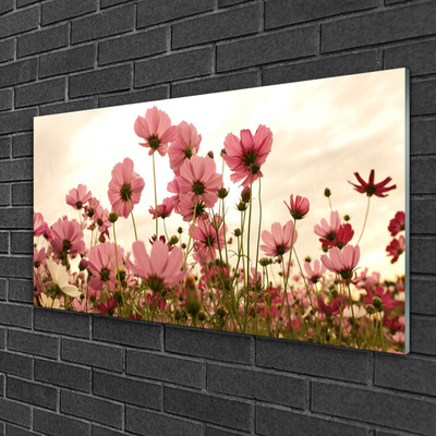 Plexiglas schilderij Bloemen wilde weide natuur