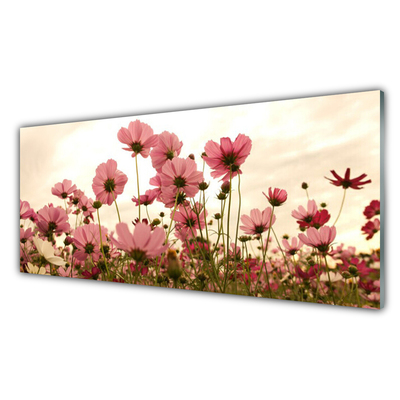 Plexiglas schilderij Bloemen wilde weide natuur