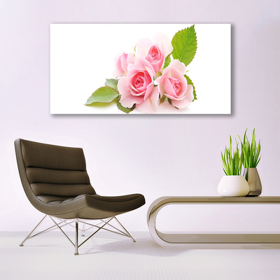Plexiglas schilderij Rozen bloemen nature plant