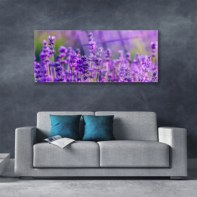 Plexiglas schilderij Paarse lavendel field