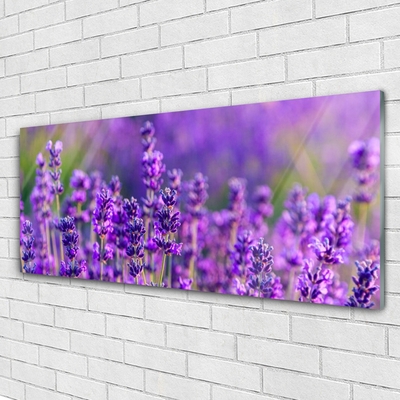 Plexiglas schilderij Paarse lavendel field