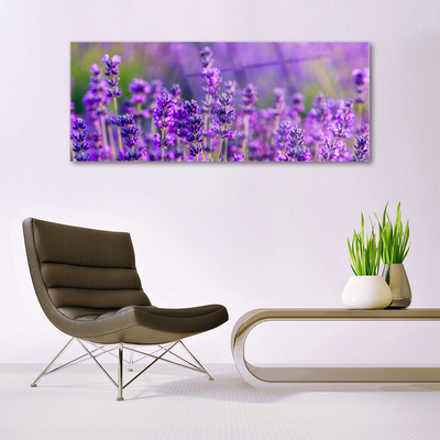 Plexiglas schilderij Paarse lavendel field