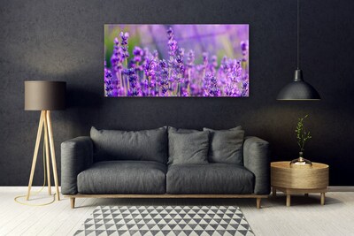 Plexiglas schilderij Paarse lavendel field