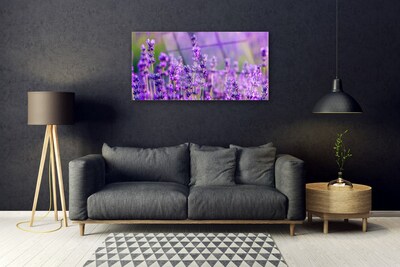 Plexiglas schilderij Paarse lavendel field