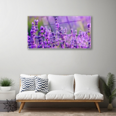 Plexiglas schilderij Paarse lavendel field
