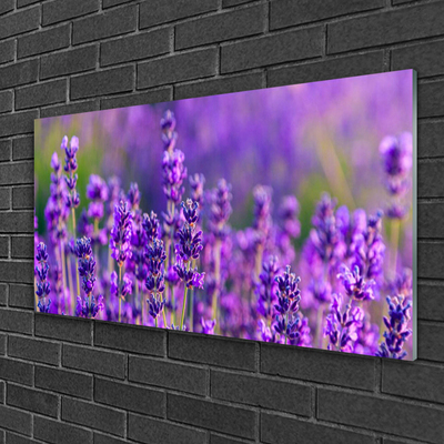 Plexiglas schilderij Paarse lavendel field
