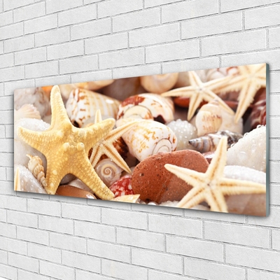 Plexiglas schilderij Zeester shells beach