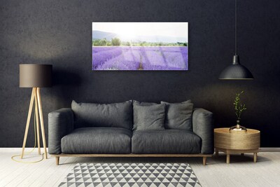 Plexiglas schilderij Gebied van de lavendel weide natuur