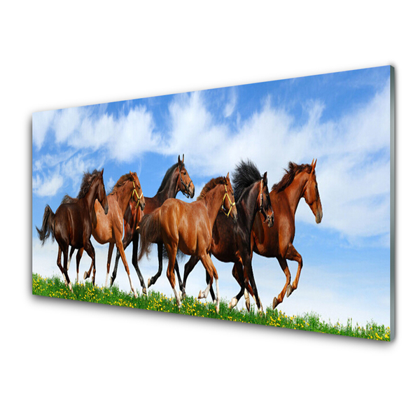 Plexiglas schilderij Galopperen paarden op weiland