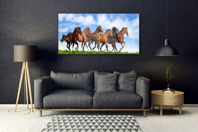 Plexiglas schilderij Galopperen paarden op weiland