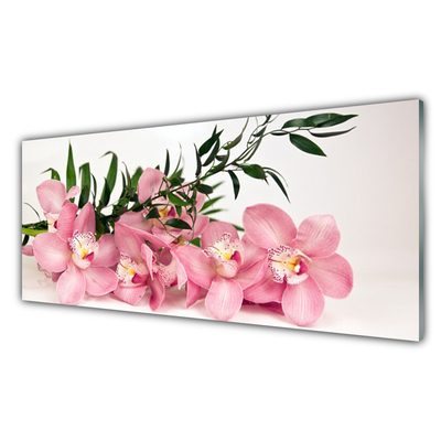 Plexiglas schilderij Orchideebloemen spa