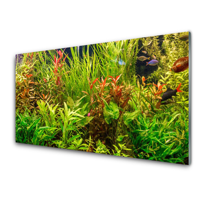 Plexiglas schilderij Aquarium vissen planten