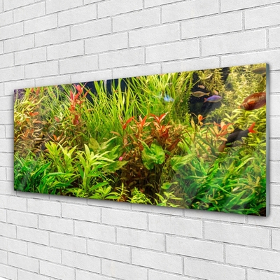 Plexiglas schilderij Aquarium vissen planten