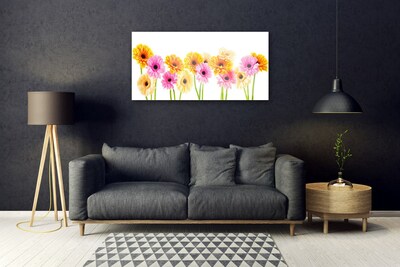 Plexiglas schilderij Kleurrijke bloemen daisy