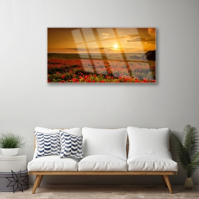 Plexiglas schilderij Veld met klaprozen sunset meadow