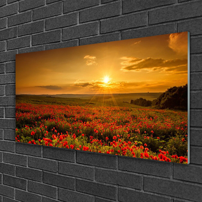 Plexiglas schilderij Veld met klaprozen sunset meadow