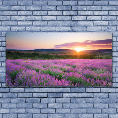 Plexiglas schilderij West meadow lavender fields