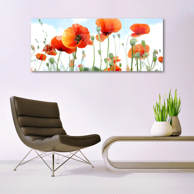 Plexiglas schilderij Veld met klaprozen bloemen weide natuur