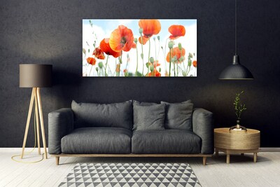 Plexiglas schilderij Veld met klaprozen bloemen weide natuur