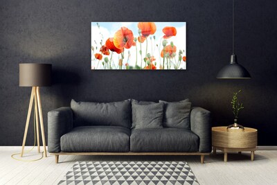 Plexiglas schilderij Veld met klaprozen bloemen weide natuur