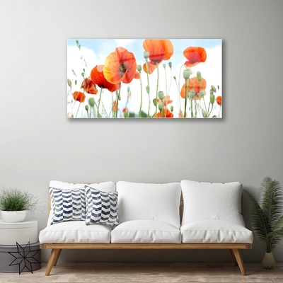 Plexiglas schilderij Veld met klaprozen bloemen weide natuur