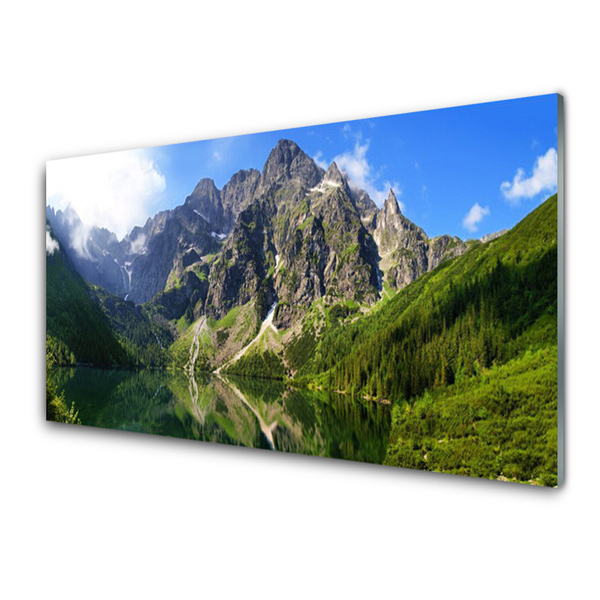Plexiglas schilderij Tatragebergte forest sea eye