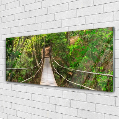 Plexiglas schilderij De meeste jungle regenwoud