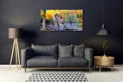 Plexiglas schilderij Watermill bos van de herfst