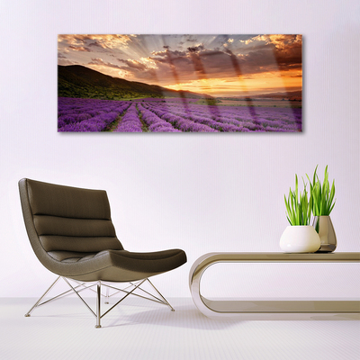 Plexiglas schilderij Field of lavender sunset