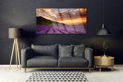 Plexiglas schilderij Field of lavender sunset