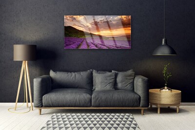 Plexiglas schilderij Field of lavender sunset