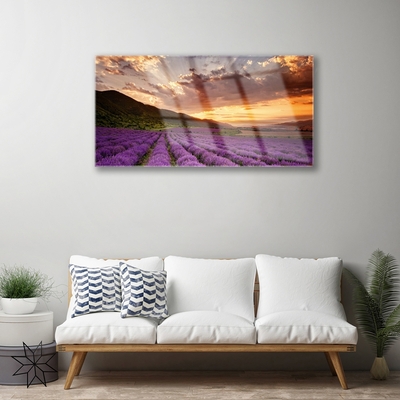 Plexiglas schilderij Field of lavender sunset