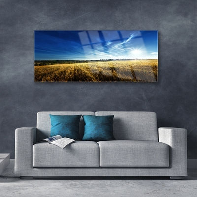 Plexiglas schilderij Korenveld zon landschap
