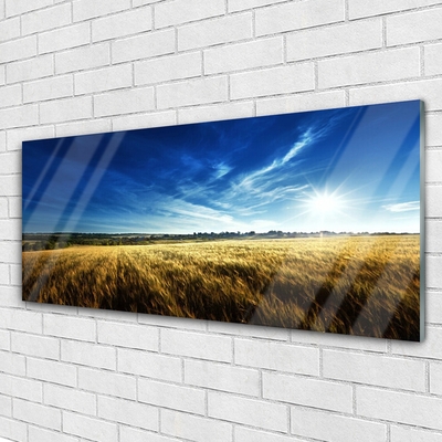 Plexiglas schilderij Korenveld zon landschap