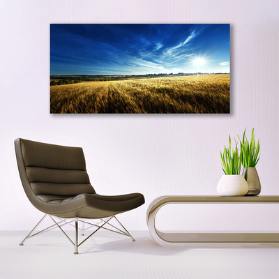Plexiglas schilderij Korenveld zon landschap