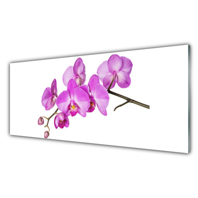 Plexiglas schilderij Orchidee orchidee bloemen