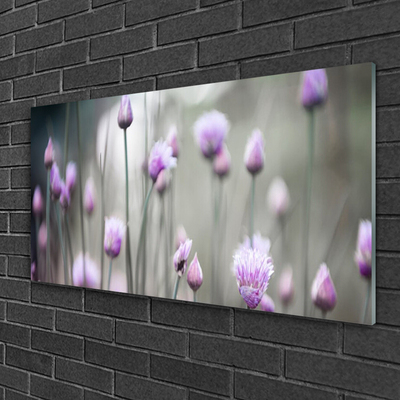 Plexiglas schilderij Bloemen wilde weide natuur