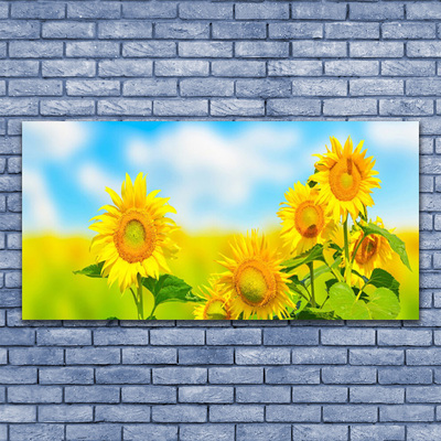 Plexiglas schilderij Zonnebloem bloemen nature