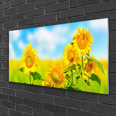 Plexiglas schilderij Zonnebloem bloemen nature