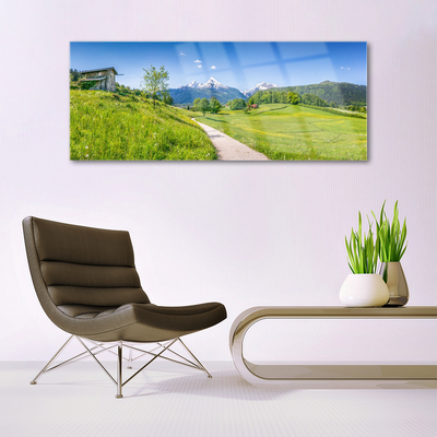 Plexiglas schilderij Mountain meadow path valley