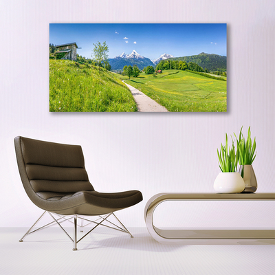 Plexiglas schilderij Mountain meadow path valley