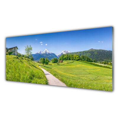 Plexiglas schilderij Mountain meadow path valley
