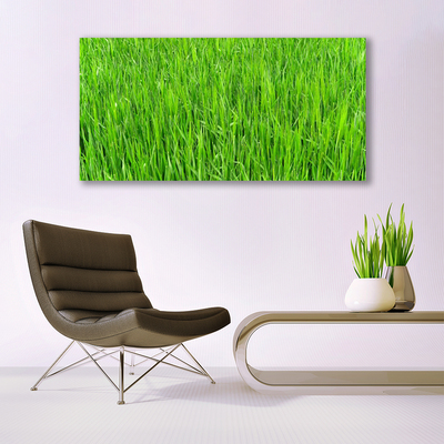 Plexiglas schilderij Nature green grass turf