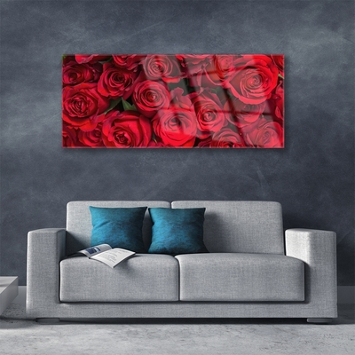 Plexiglas schilderij Rode rozen bloemen nature